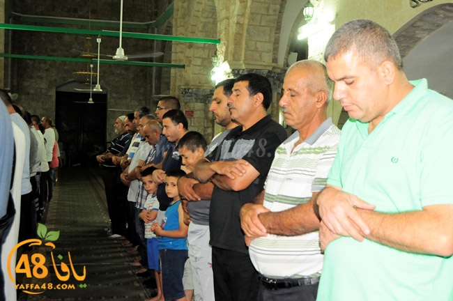 trawe7 ramla kaber (3).JPG